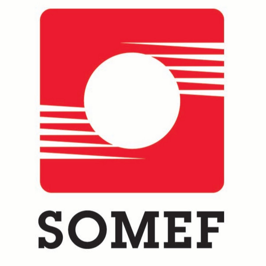 Logo SOMEF
